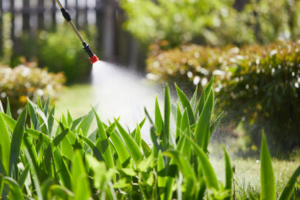 24/7 Emergency Mosquito Control experts in Ceresco, NE